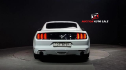 										FORD MUSTANG full									
