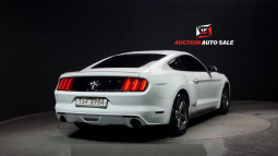 										FORD MUSTANG full									