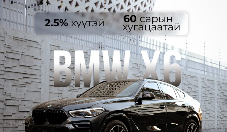 BMW X6 full