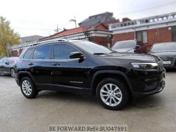 										Jeep Cherokee full									