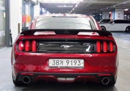 										Ford Mustang Shelby full									