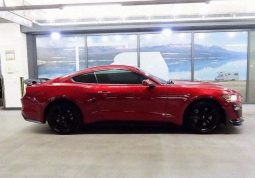 										Ford Mustang Shelby full									