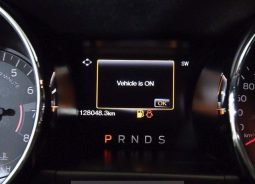 										Ford Mustang Shelby full									