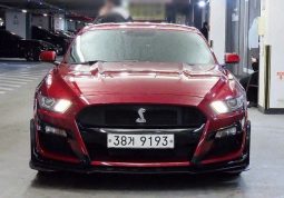 										Ford Mustang Shelby full									