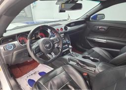 Ford Mustang Shelby full