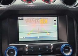 Ford Mustang Shelby full