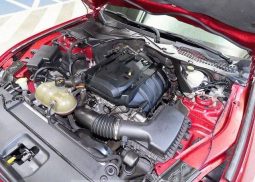 										Ford Mustang Shelby full									