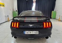 										Ford Mustang Shelby full									