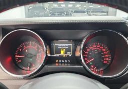 Ford Mustang Shelby full