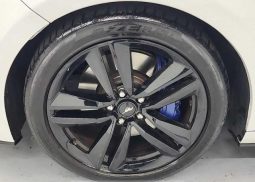 Ford Mustang Shelby full