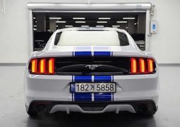 Ford Mustang Shelby full