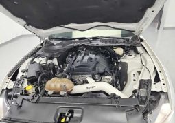 Ford Mustang Shelby full