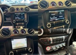 										Ford Mustang Shelby full									