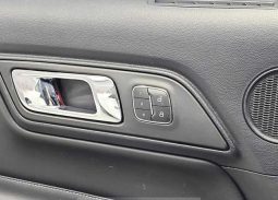 Ford Mustang Shelby full