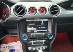 Ford Mustang Shelby full