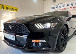 										Ford Mustang Shelby full									