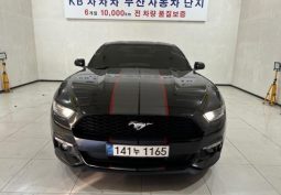 										Ford Mustang Shelby full									