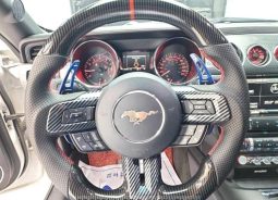 Ford Mustang Shelby full