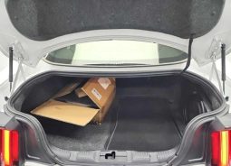 Ford Mustang Shelby full