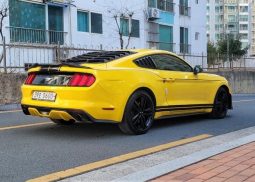 										Ford Mustang full									