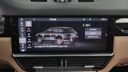 Porsche Cayenne full