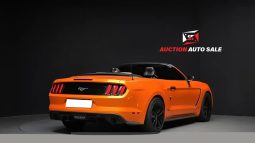 										Ford Mustang full									