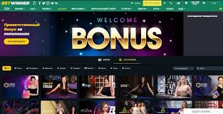 Discover the Excitement of BetWinner Casino